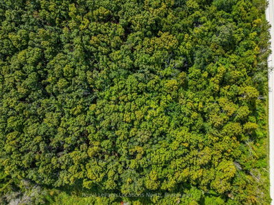 Lot 15 3rd Line E • Blue Mountains, ON photo 4