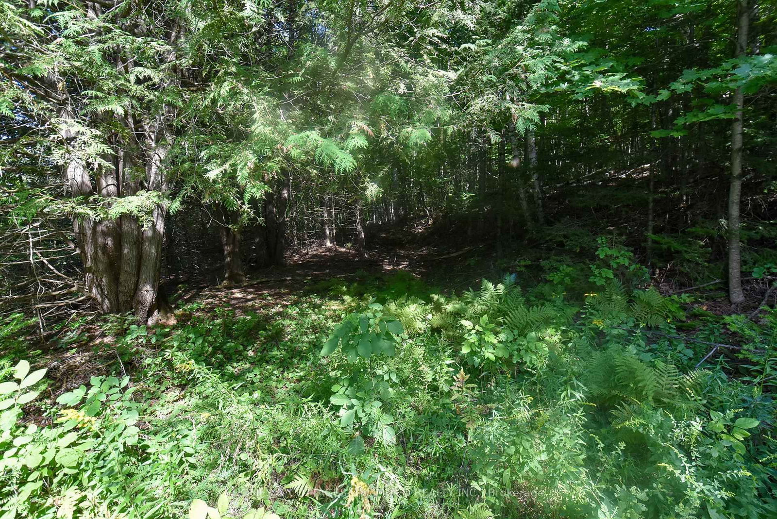 2493 River Road • Ompah, ON photo 10