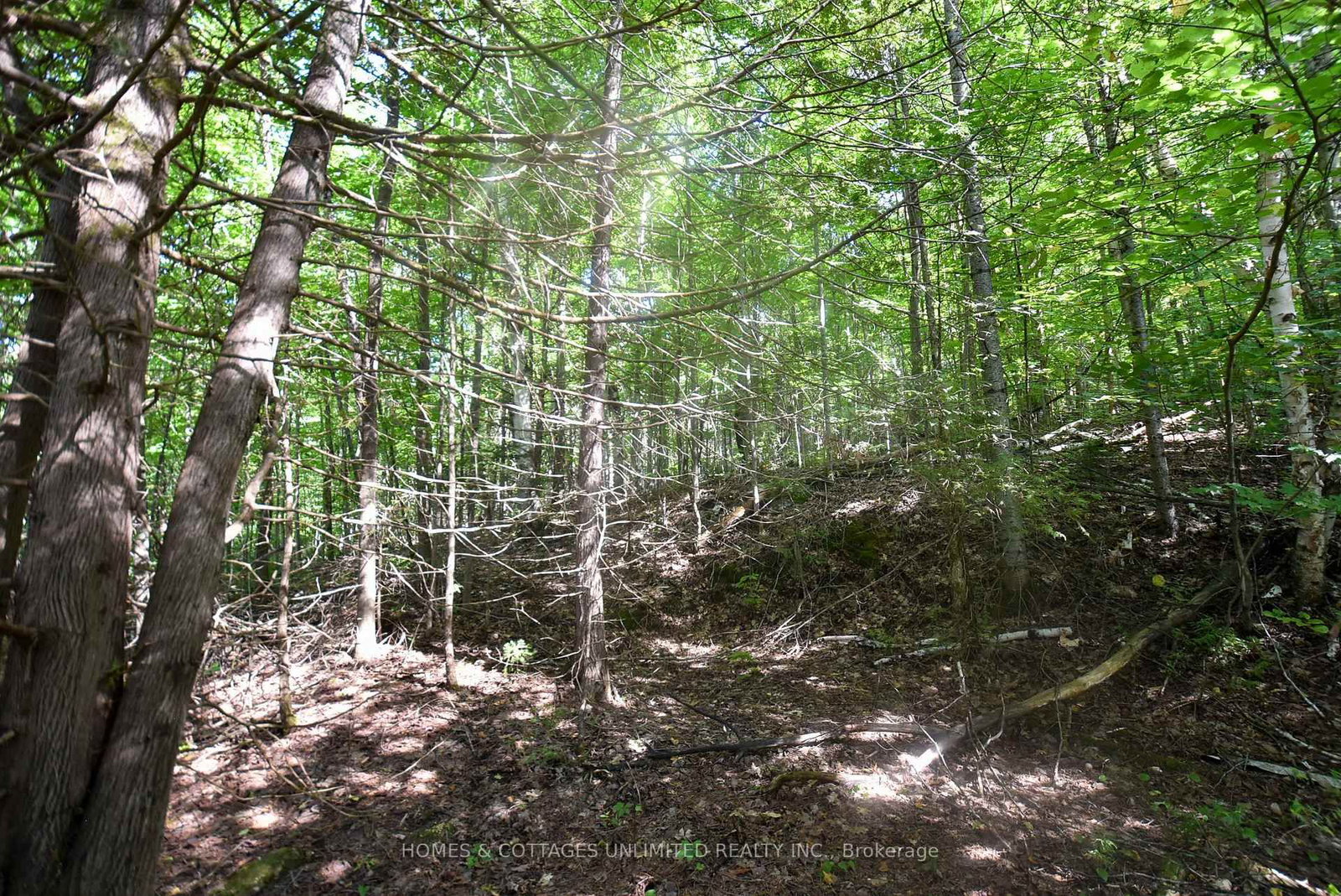 2493 River Road • Ompah, ON photo 11