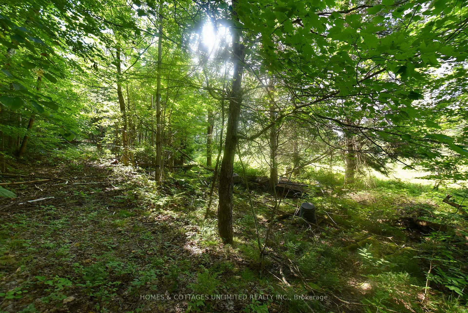 2493 River Road • Ompah, ON photo 14