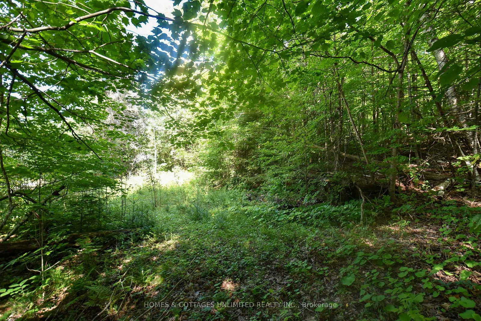 2493 River Road • Ompah, ON photo 15