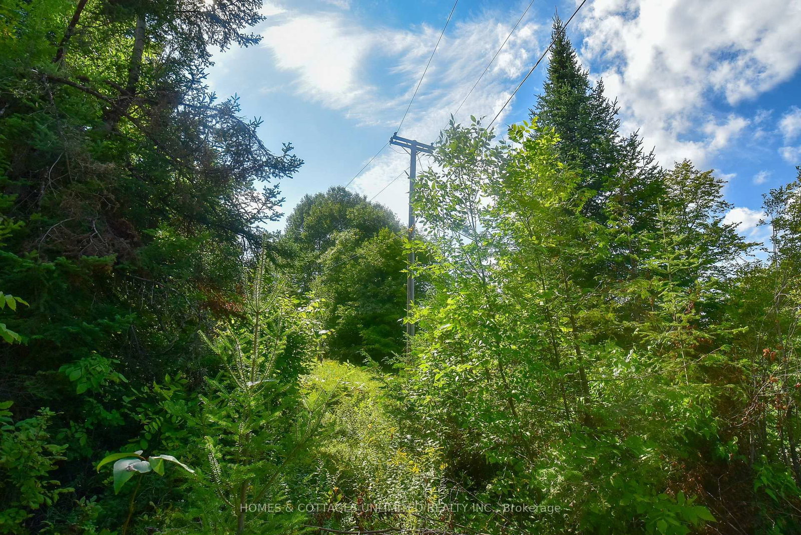 2493 River Road • Ompah, ON photo 17