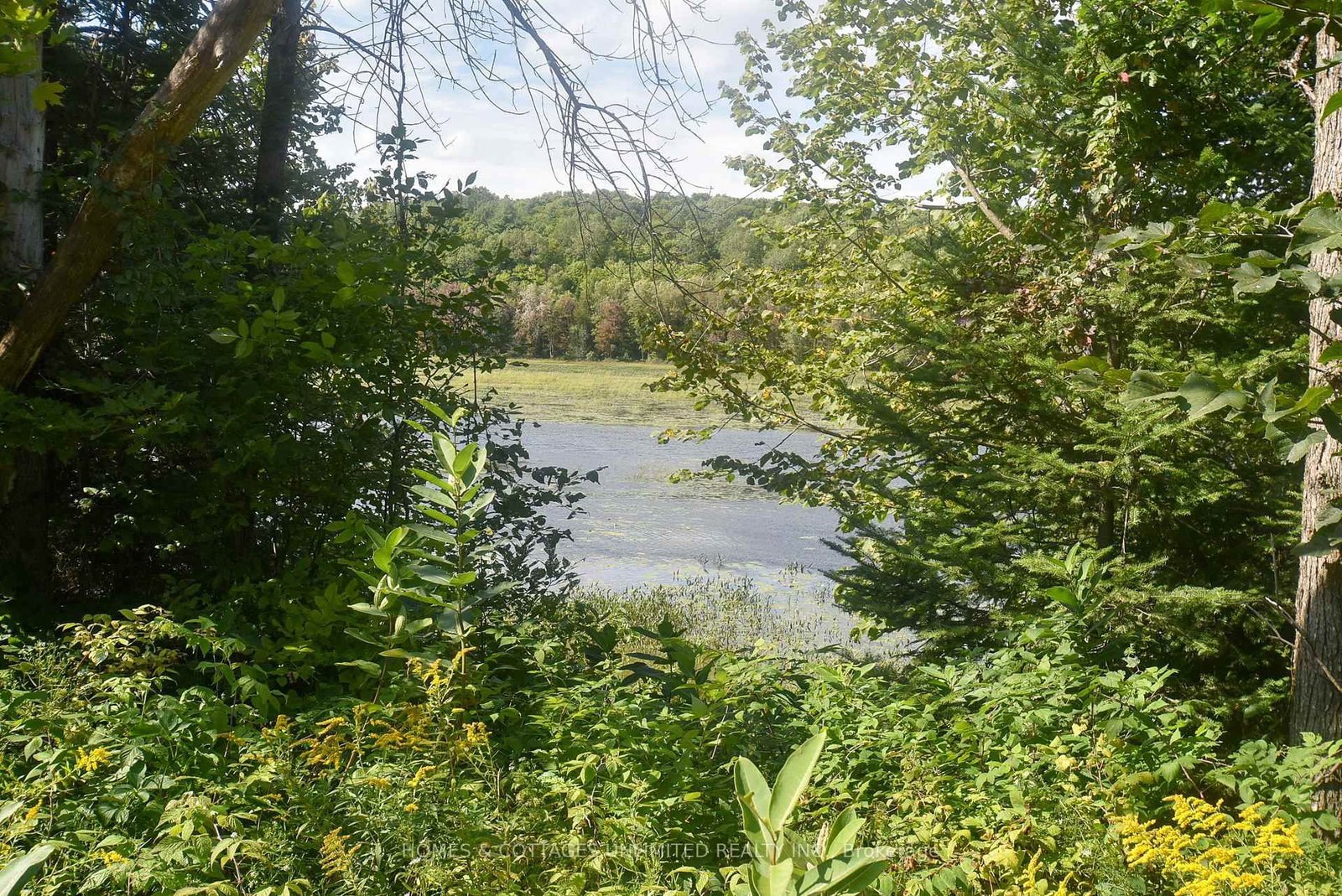 2493 River Road • Ompah, ON photo 2