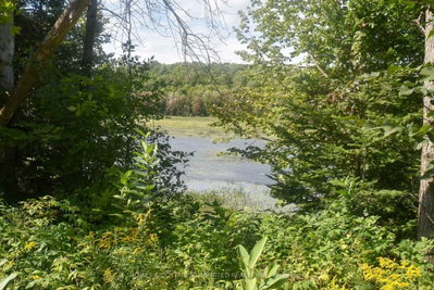 2493 River Road • Ompah, ON photo 2