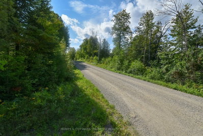 2493 River Road • Ompah, ON photo 4