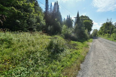 2493 River Road • Ompah, ON photo 6