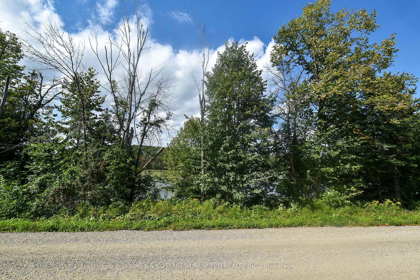 2493 River Road • Ompah, ON photo 7