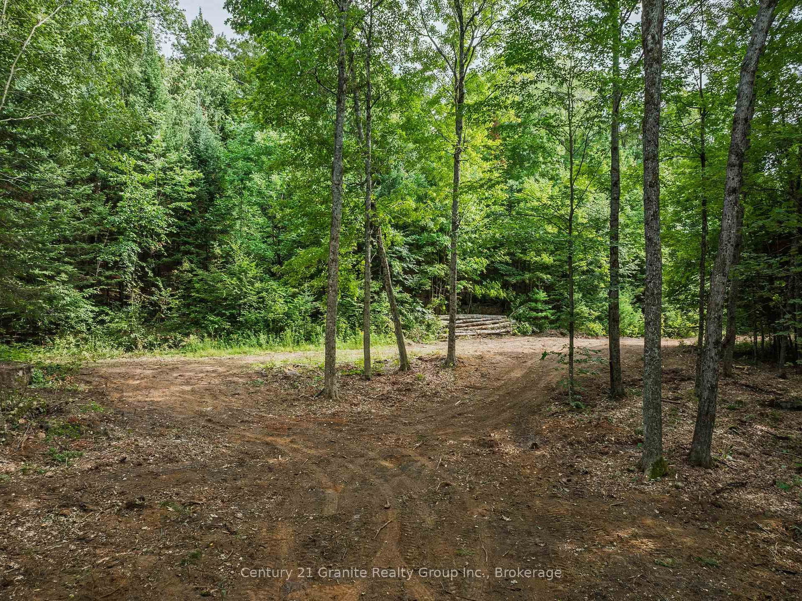 1241 Koshlong Lake Road • Dysart et al, ON photo 10