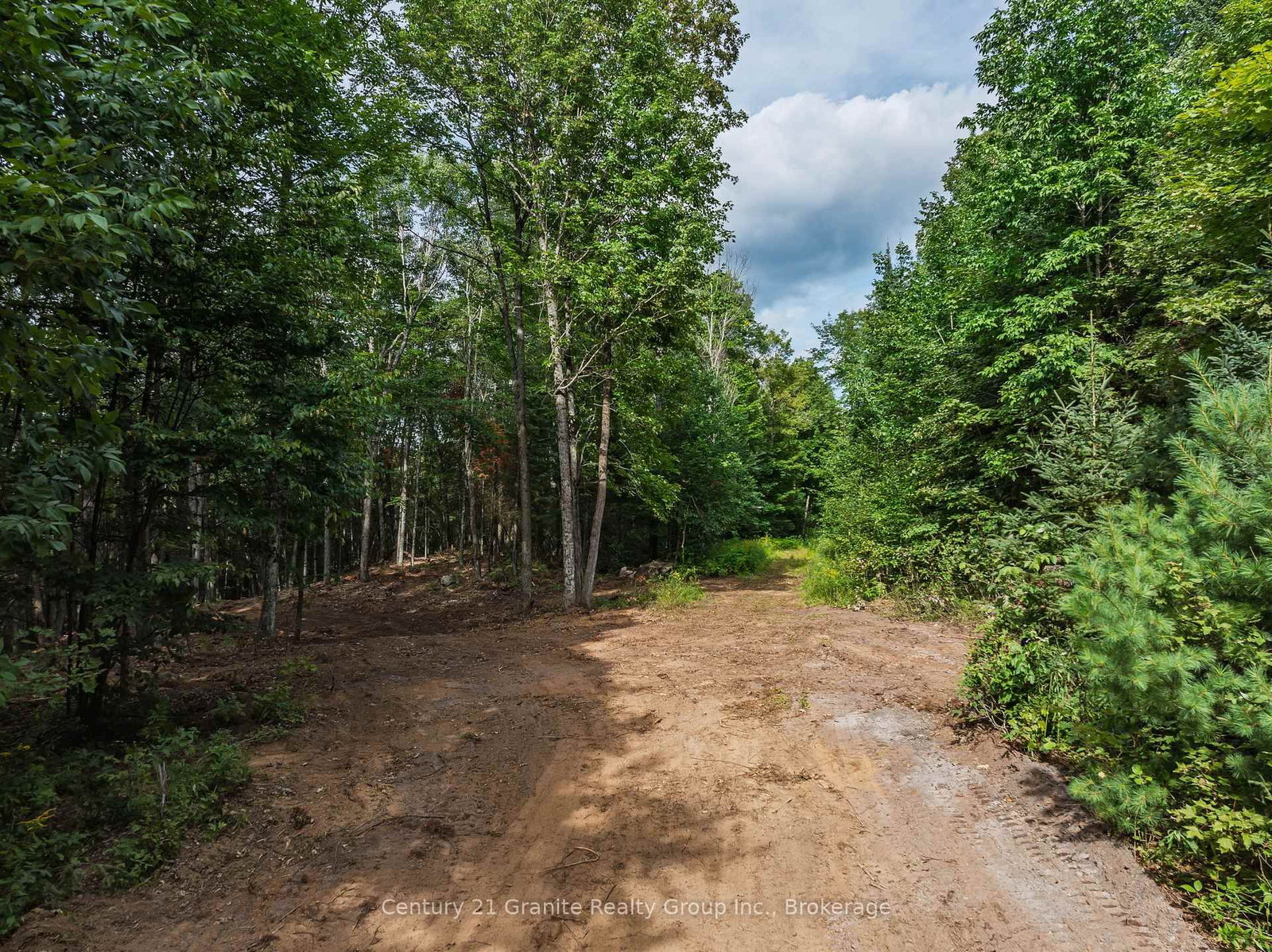 1241 Koshlong Lake Road • Dysart et al, ON photo 11