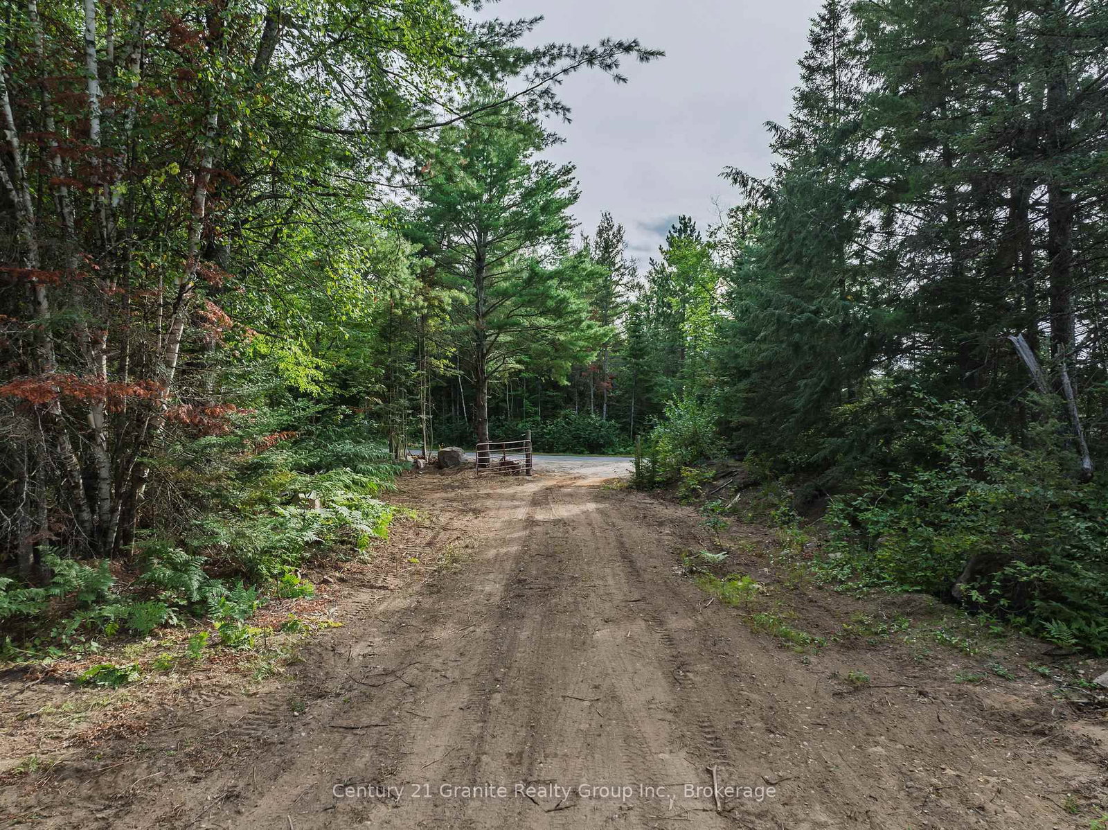 1241 Koshlong Lake Road • Dysart et al, ON photo 29