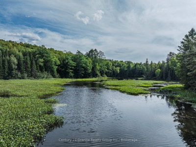 1241 Koshlong Lake Road • Dysart et al, ON photo 4