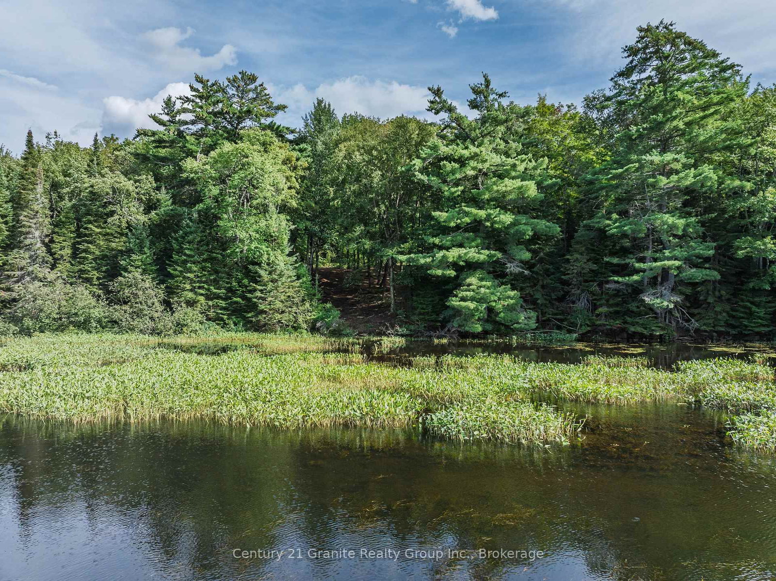 1241 Koshlong Lake Road • Dysart et al, ON photo 5