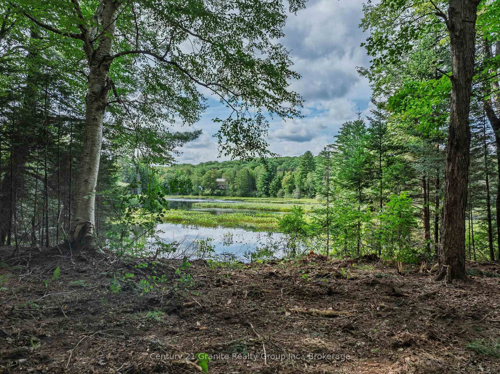 1241 Koshlong Lake Road • Dysart et al, ON photo 6