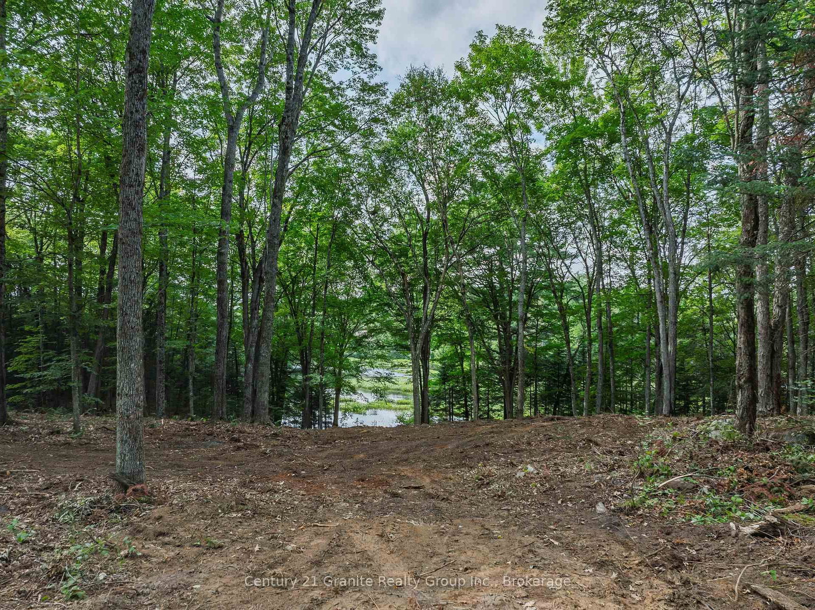 1241 Koshlong Lake Road • Dysart et al, ON photo 8