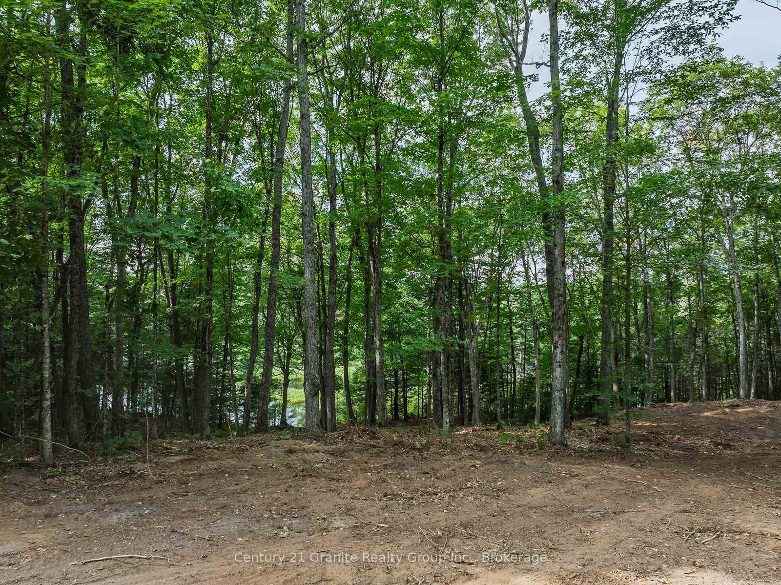 1241 Koshlong Lake Road • Dysart et al, ON photo 9