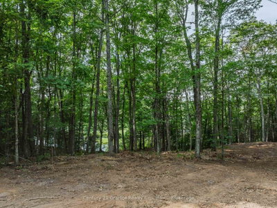 1241 Koshlong Lake Road • Dysart et al, ON photo 9
