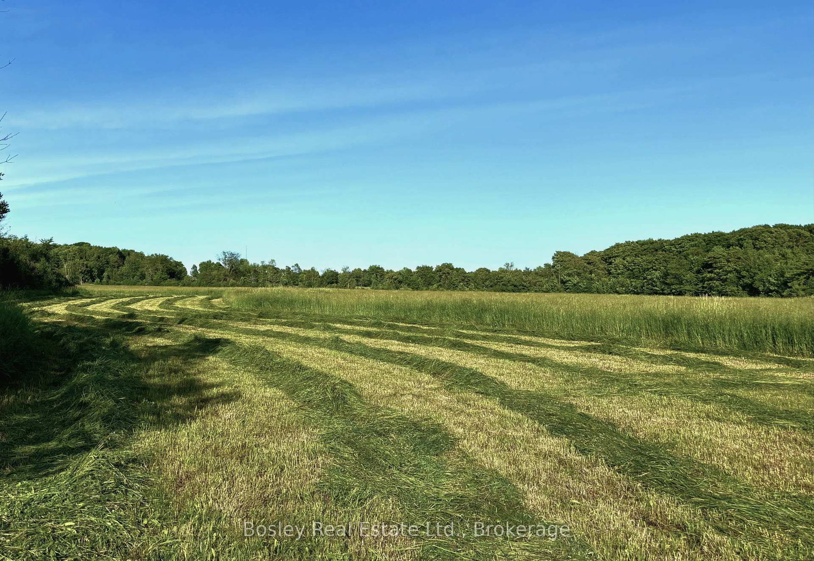 404302 20 Concession • Georgian Bluffs, ON photo 36
