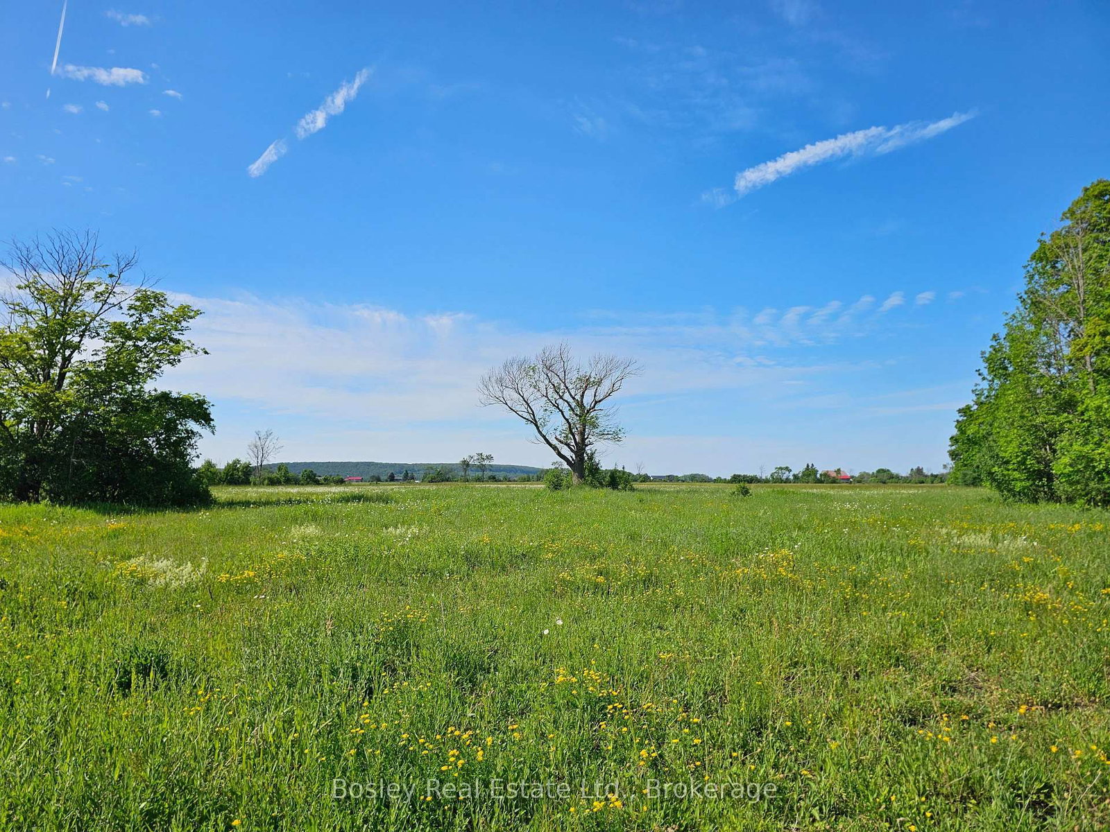 404302 20 Concession • Georgian Bluffs, ON photo 42