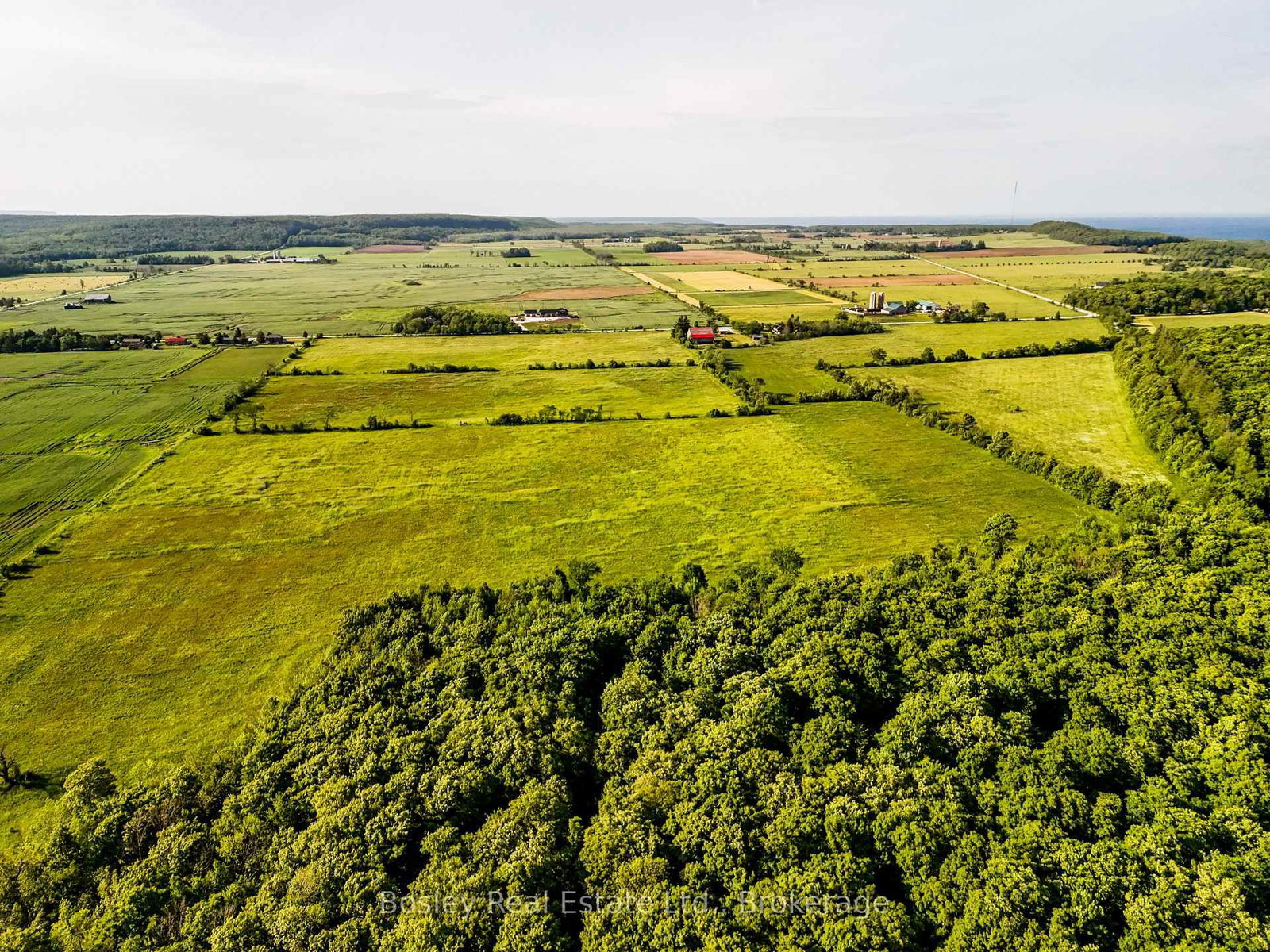 404302 20 Concession • Georgian Bluffs, ON photo 5