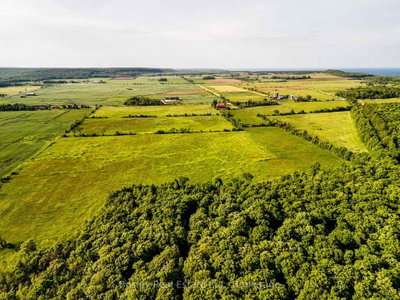 404302 20 Concession • Georgian Bluffs, ON photo 5