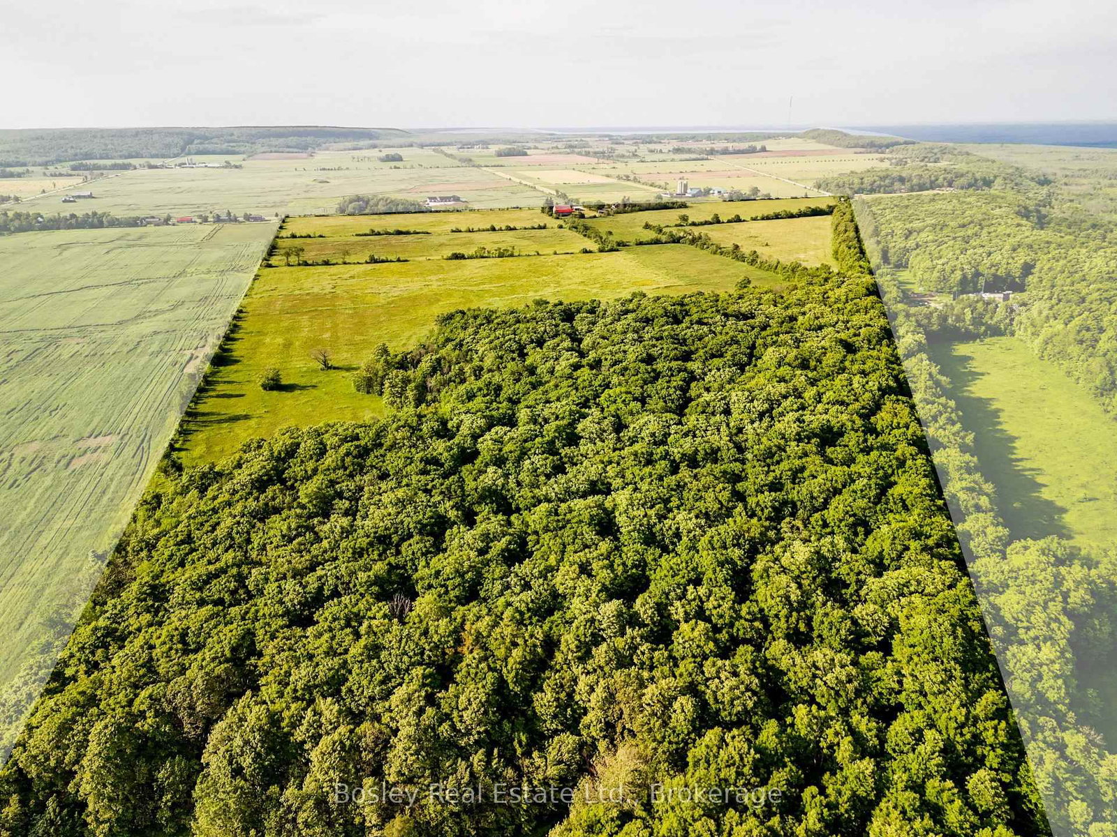 404302 20 Concession • Georgian Bluffs, ON photo 6