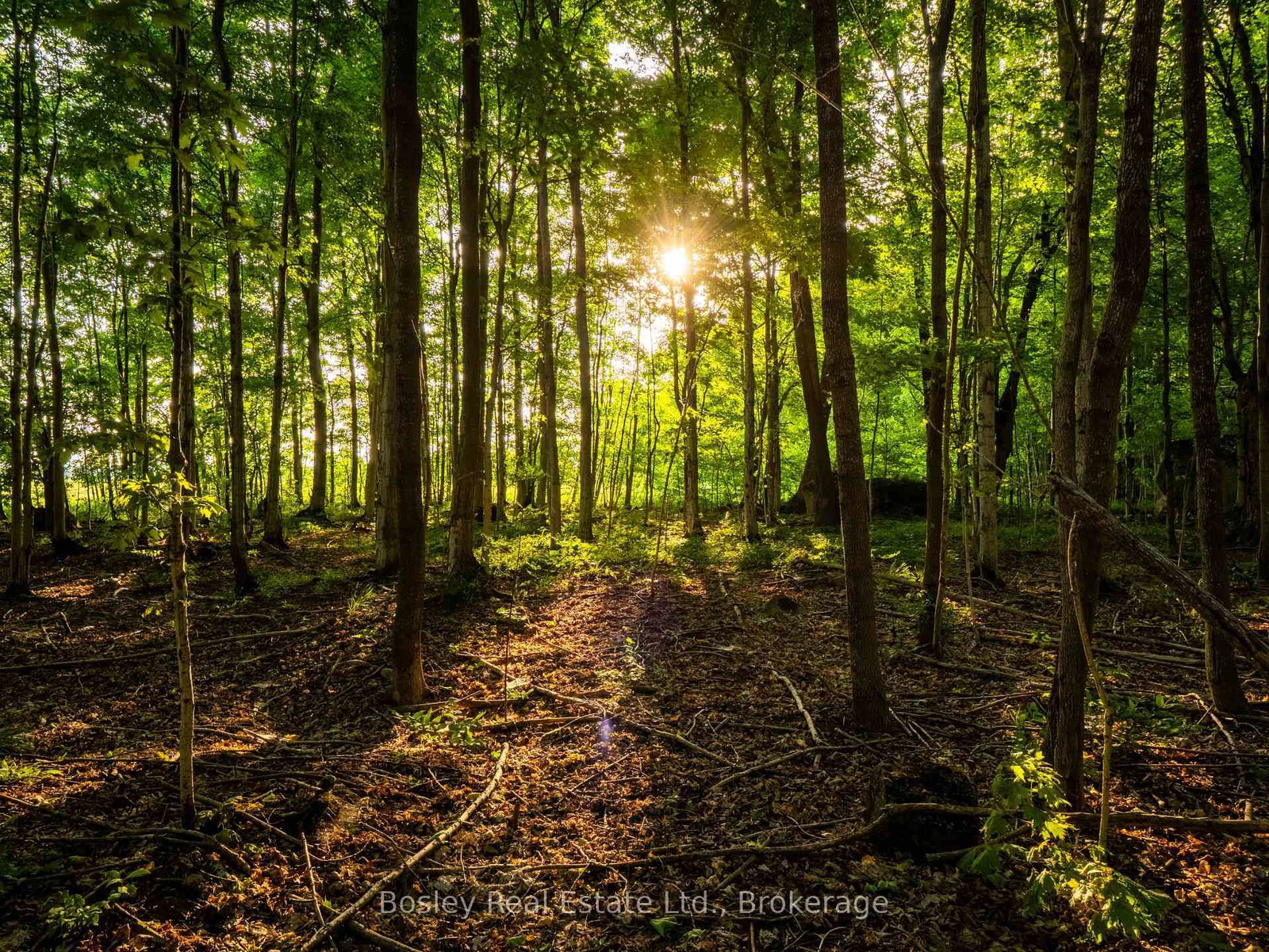 404302 20 Concession • Georgian Bluffs, ON photo 8