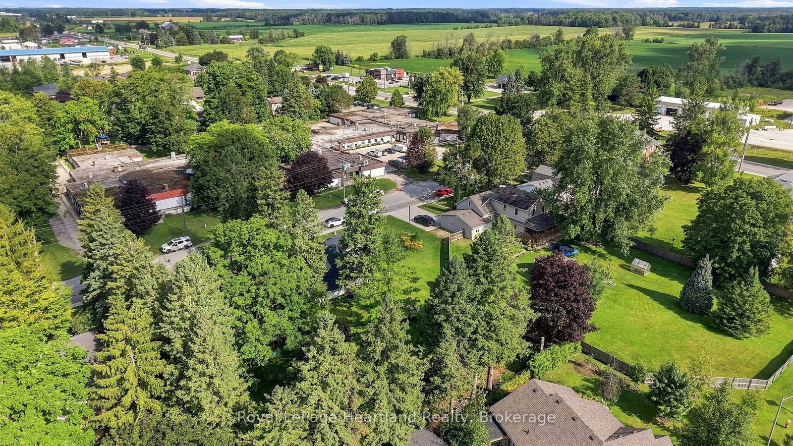 31 Louise Street • Minto, ON photo 39