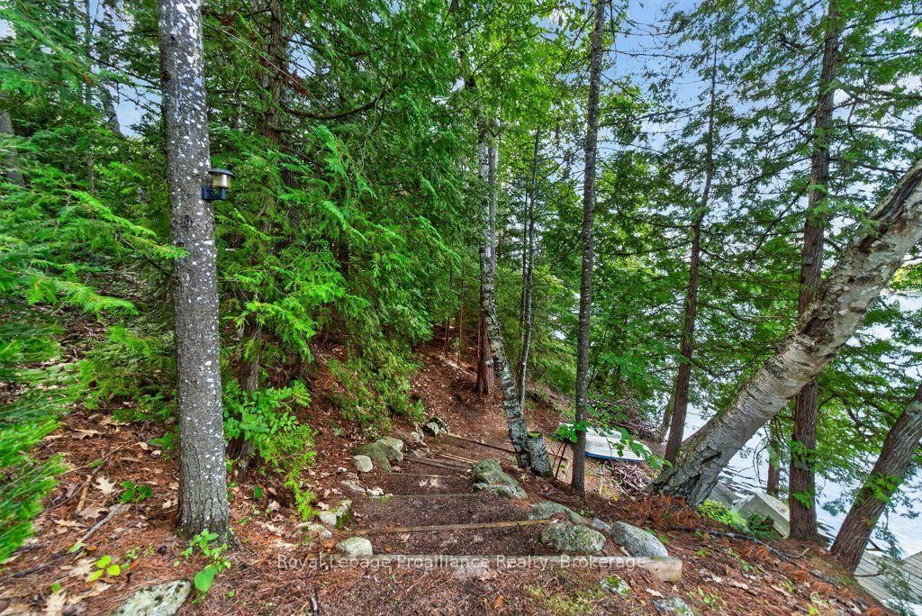 1138 Helen Lane • Mountain Grove, ON photo 39