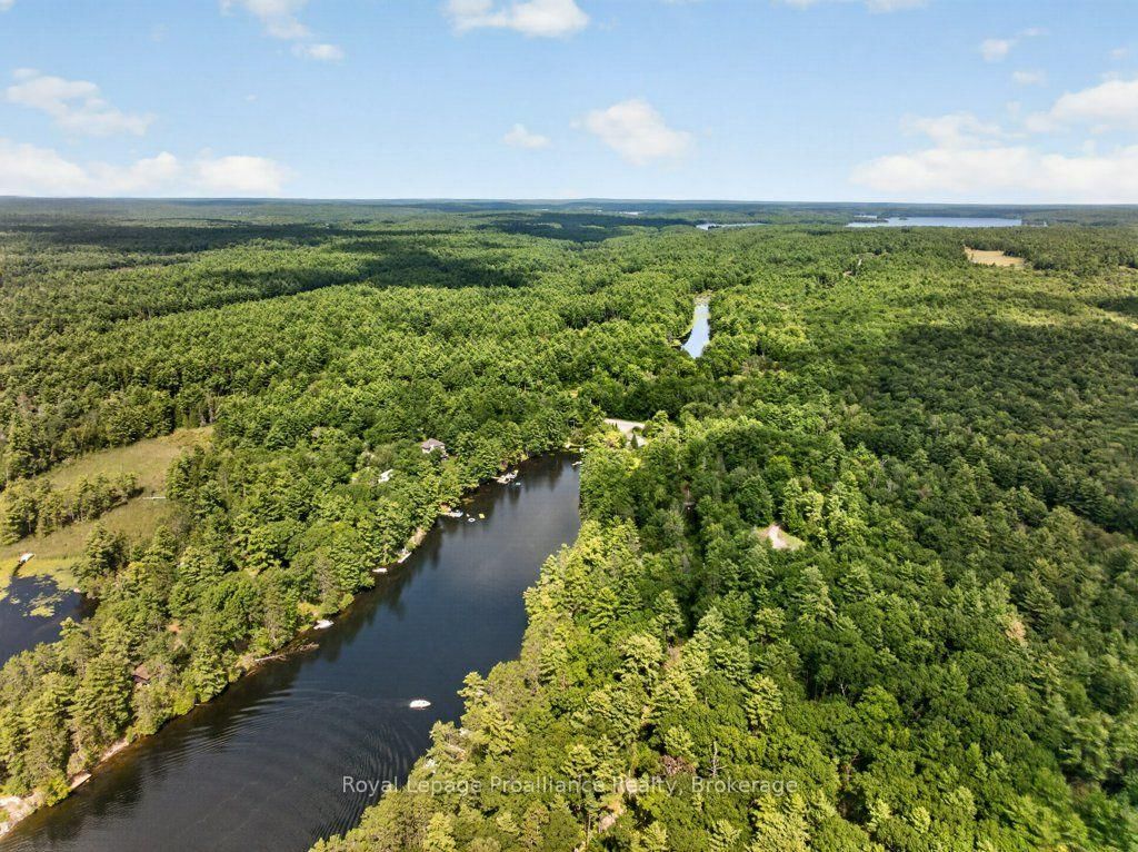 1138 Helen Lane • Mountain Grove, ON photo 48