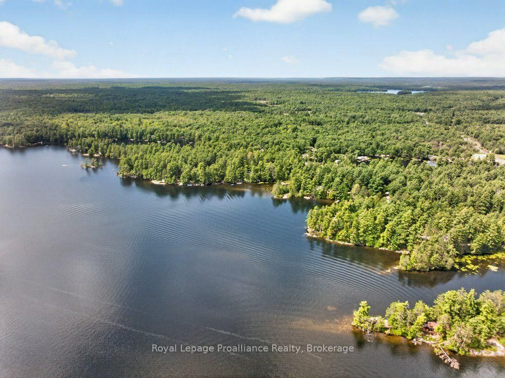 1138 Helen Lane • Mountain Grove, ON photo 49