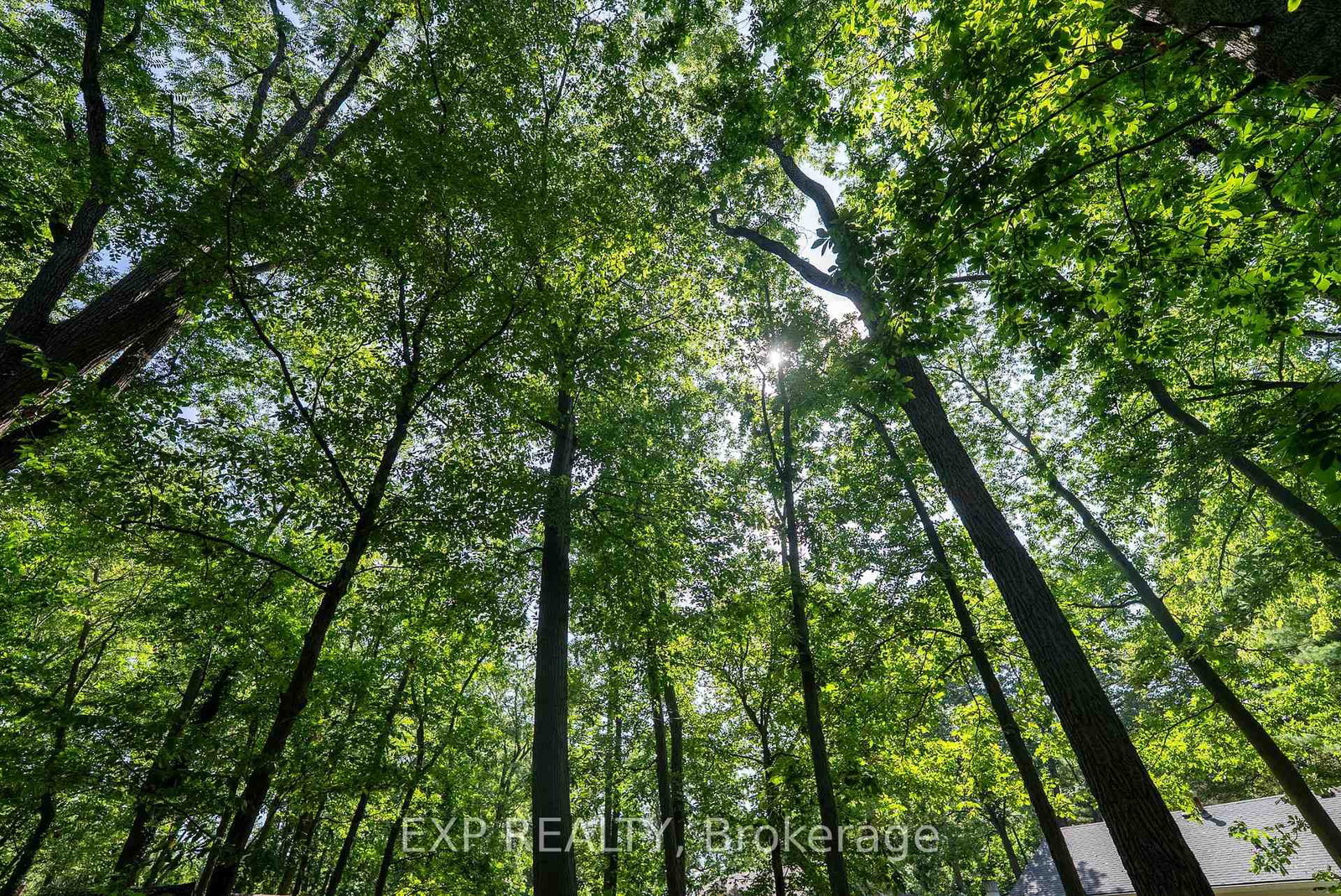 564 Prospect Point Road N • Fort Erie, ON photo 36