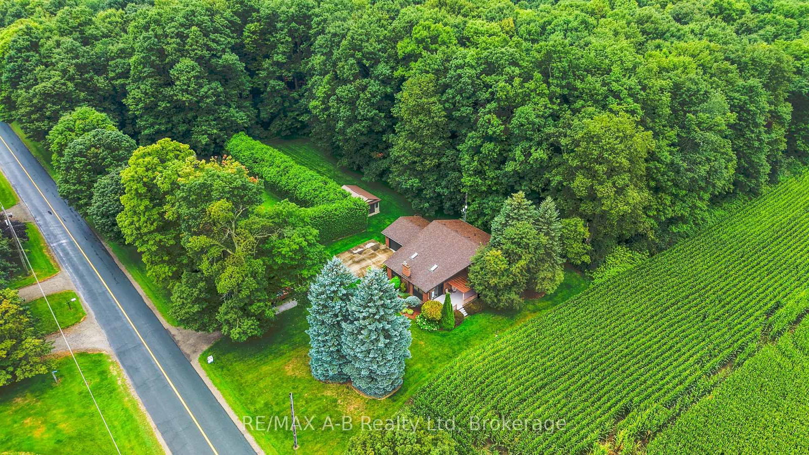 924951 Cassel Side Road • East Zorra-Tavistock, ON photo 39
