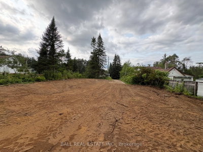 0 The Avenue • Kawartha Lakes, ON photo 6