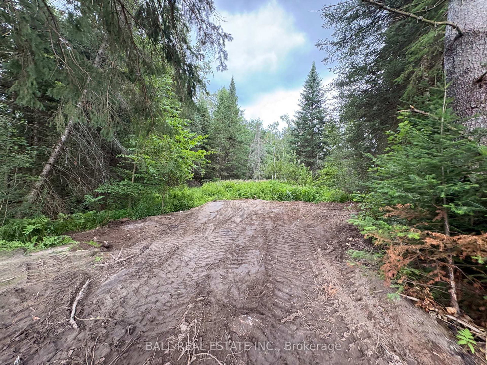 0 The Avenue • Kawartha Lakes, ON photo 8