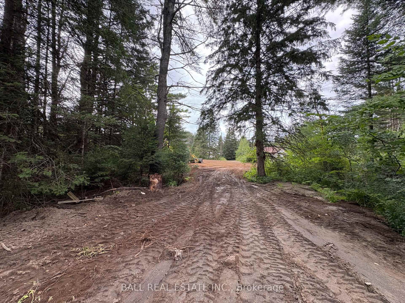 0 The Avenue • Kawartha Lakes, ON photo 9