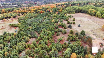 0 McLean Road • Maple Leaf, ON photo 3
