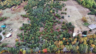 0 McLean Road • Maple Leaf, ON photo 5
