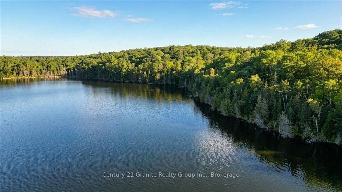 2128 Old Hastings Road • Wollaston, ON photo 39