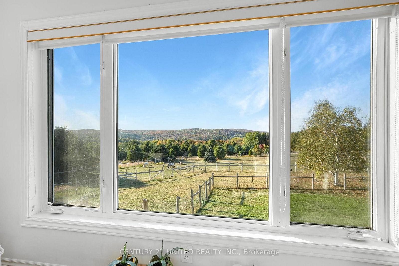 31 McLean Road • Maple Leaf, ON photo 11