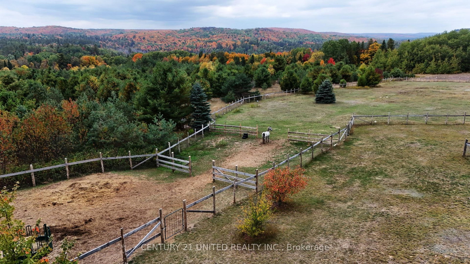 31 McLean Road • Maple Leaf, ON photo 33