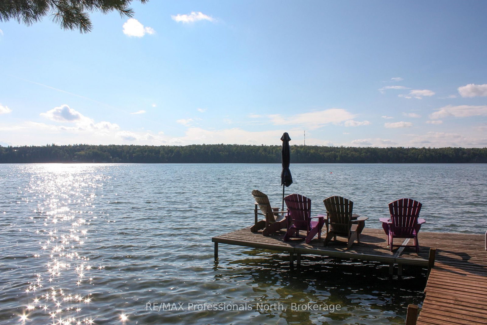 23 Fire Route 35 • Trent Lakes, ON photo 27