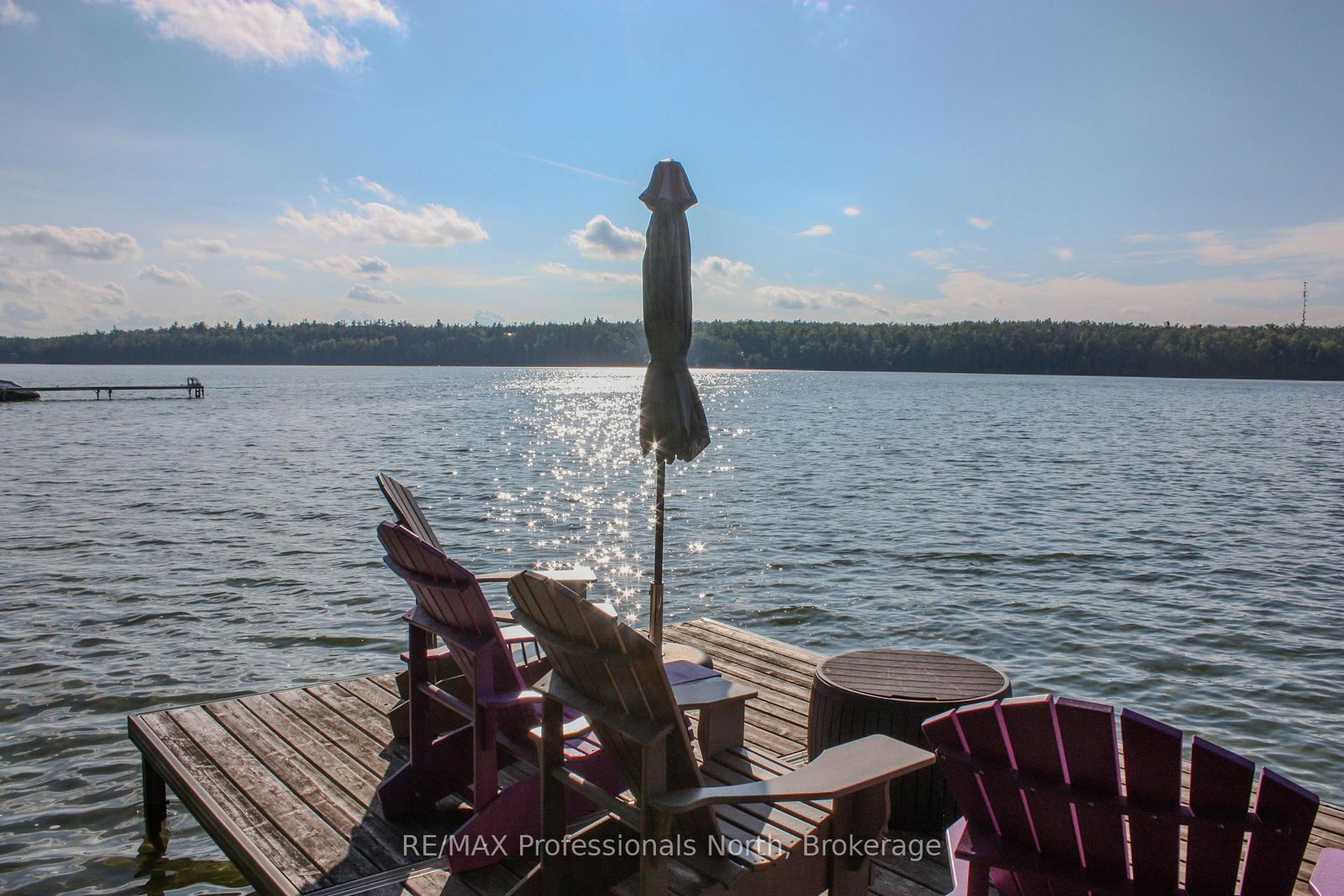 23 Fire Route 35 • Trent Lakes, ON photo 29