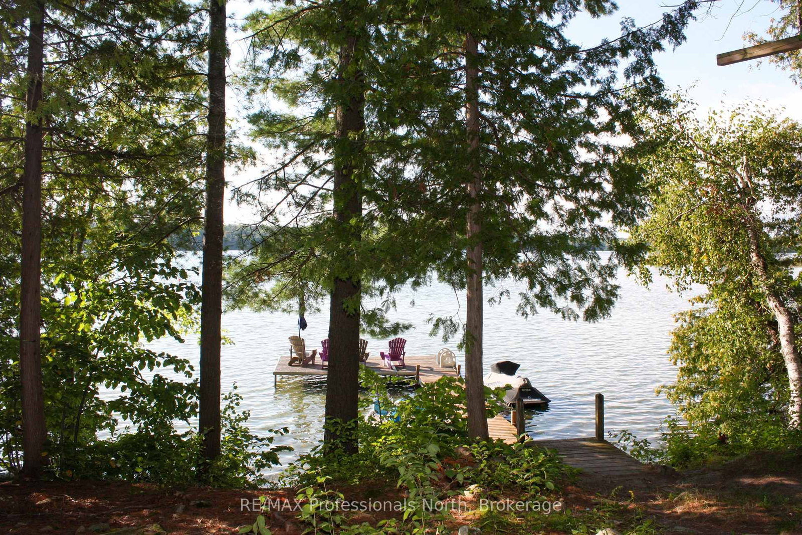 23 Fire Route 35 • Trent Lakes, ON photo 38