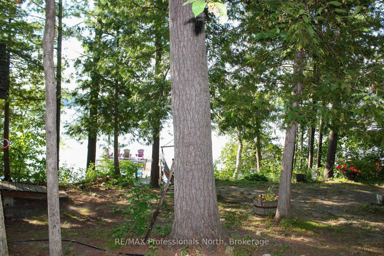 23 Fire Route 35 • Trent Lakes, ON photo 39
