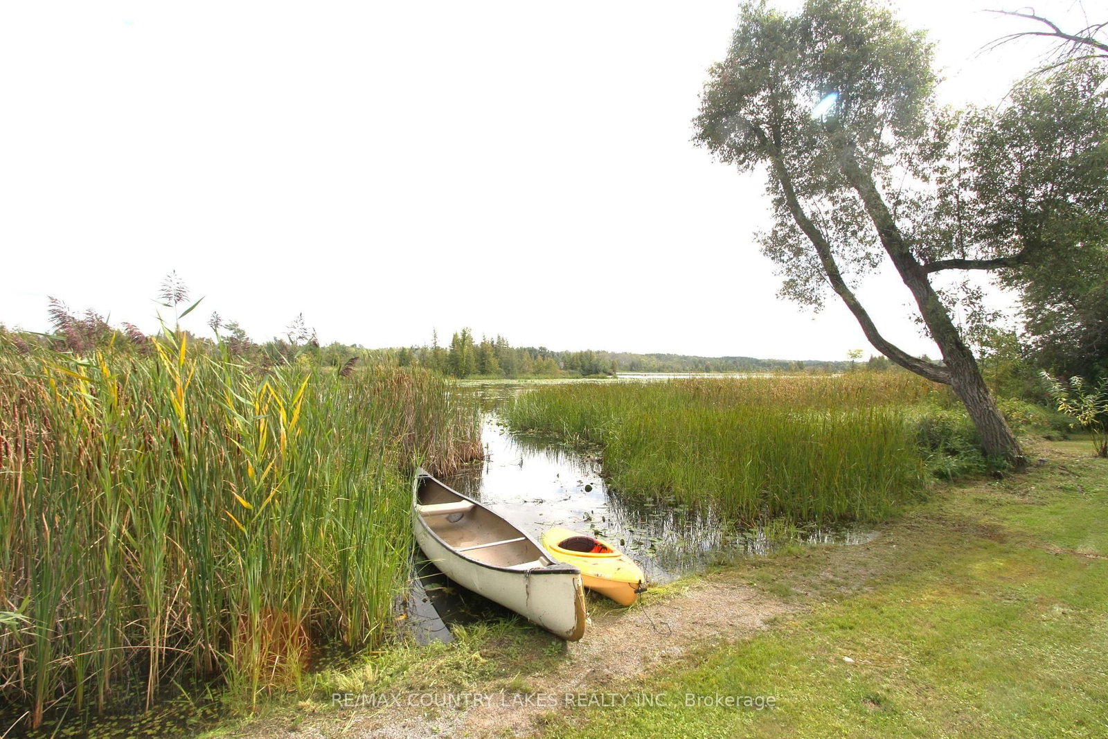 129 McGuire Beach Road • Kawartha Lakes, ON photo 30