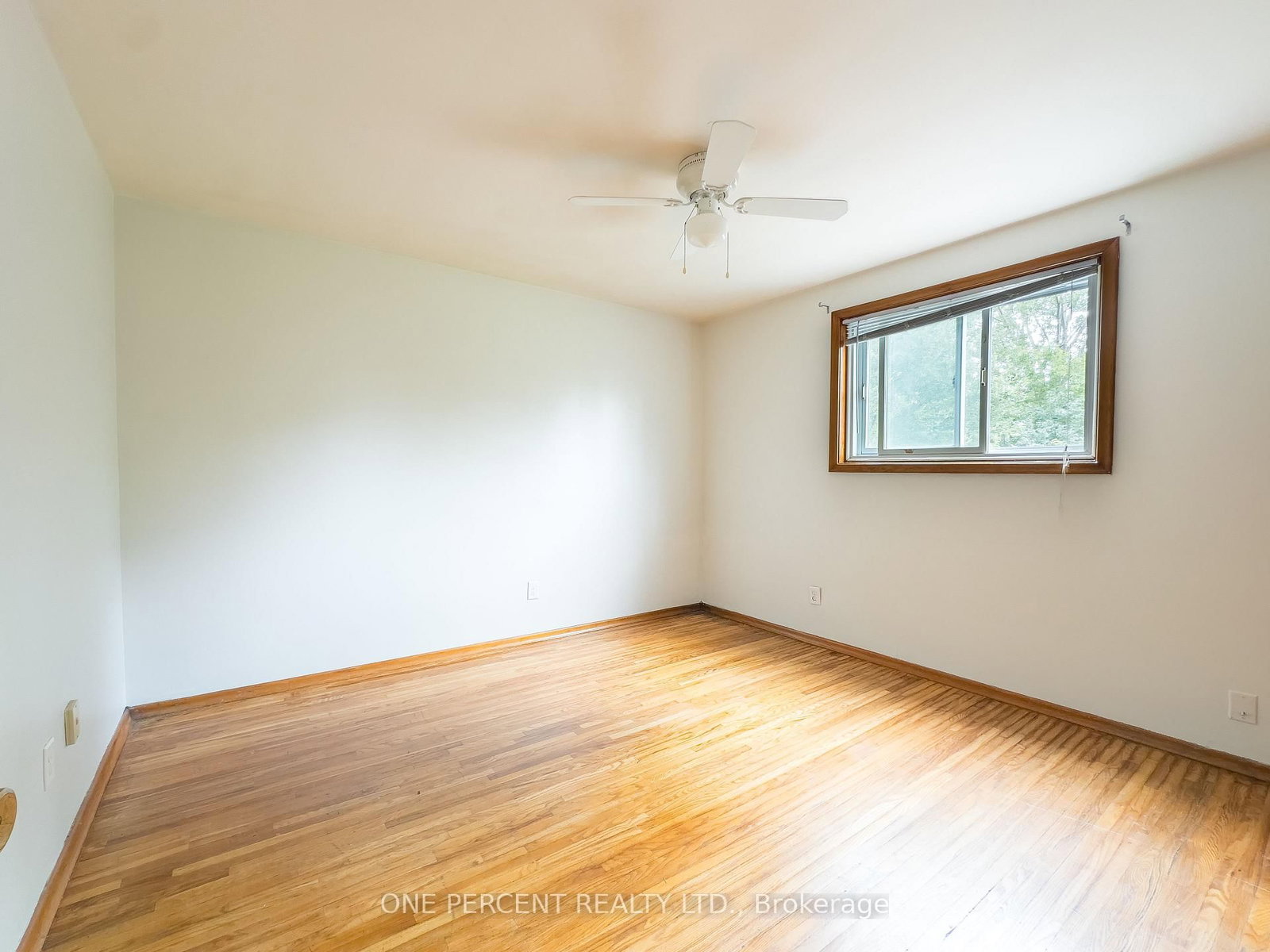 16 DALY Street • Kingston, ON photo 11