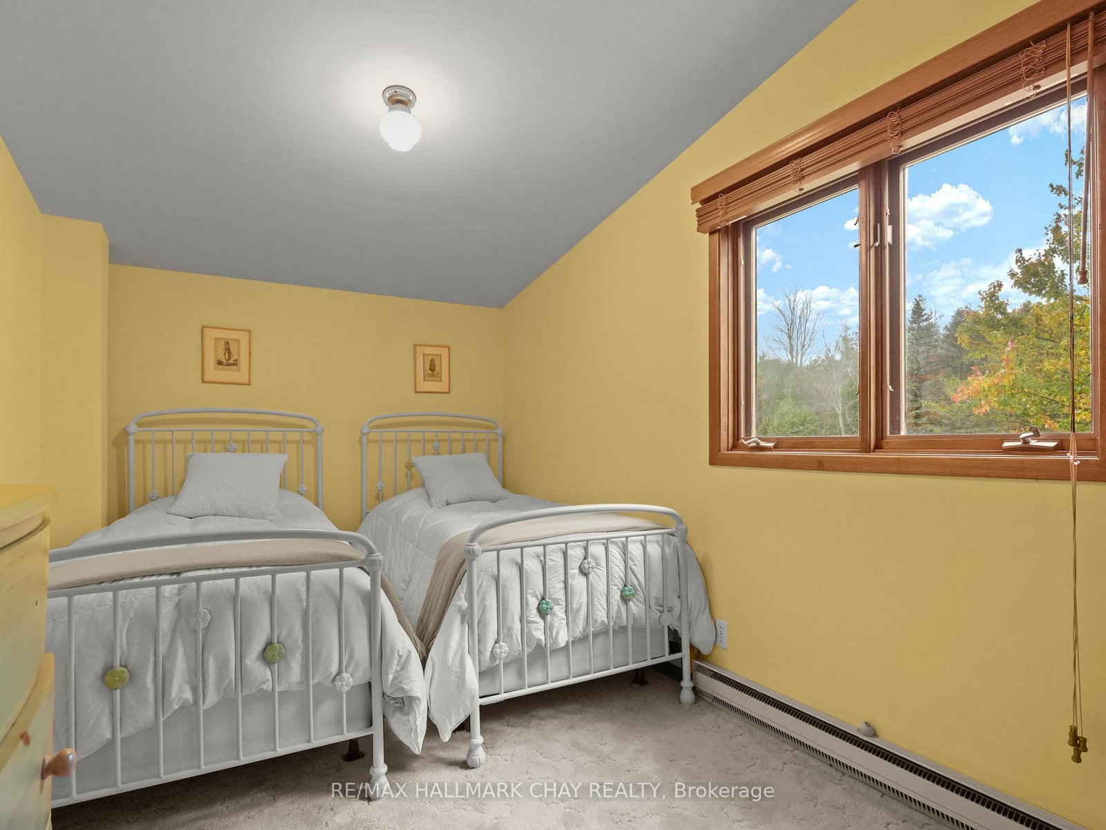 61 Pine River Crescent • Mulmur, ON photo 29