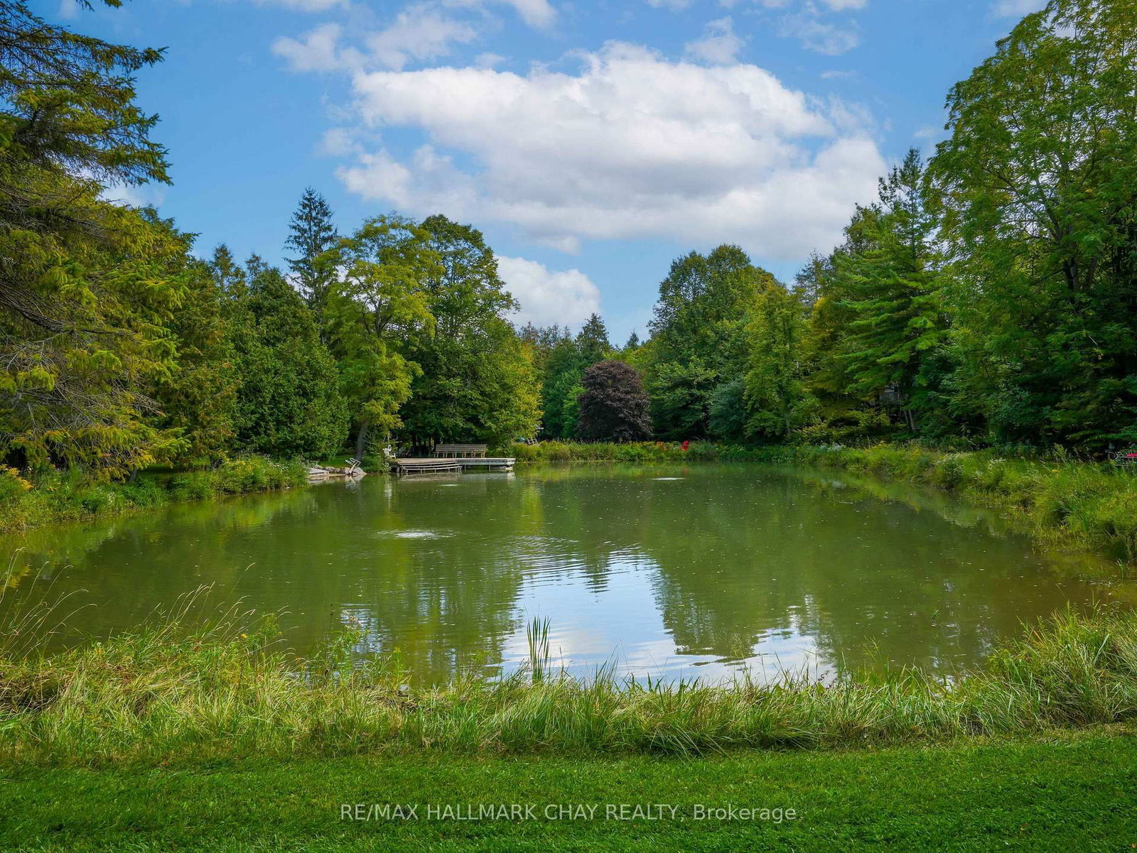 61 Pine River Crescent • Mulmur, ON photo 37