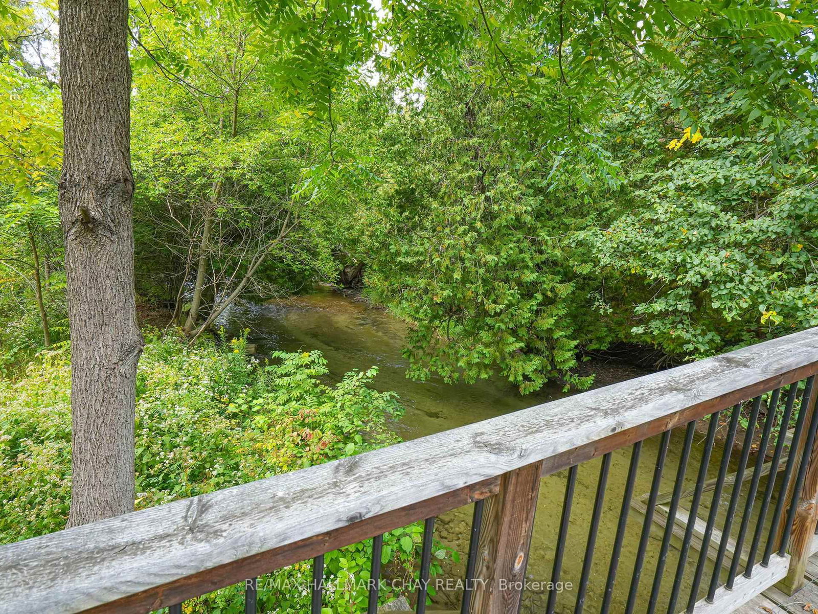 61 Pine River Crescent • Mulmur, ON photo 38