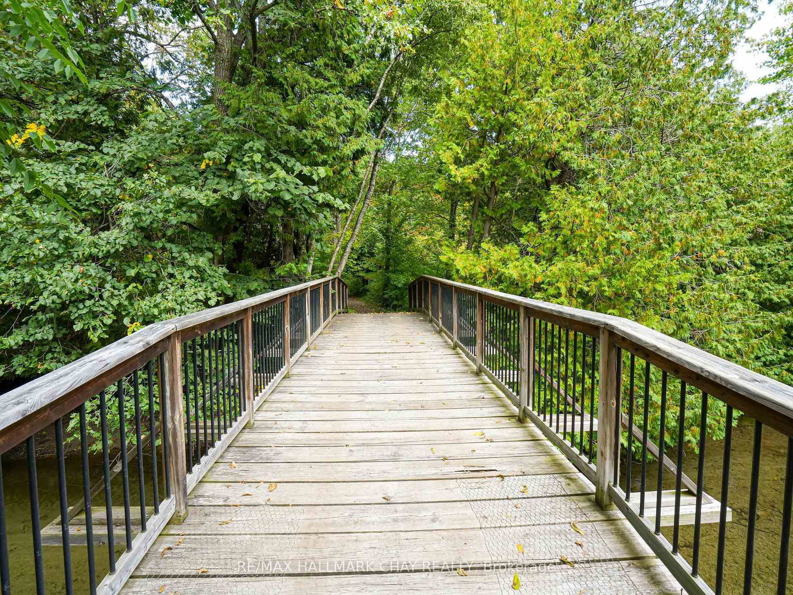 61 Pine River Crescent • Mulmur, ON photo 39